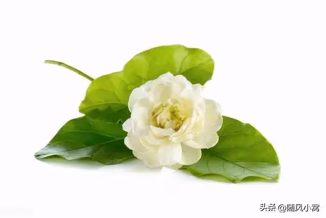 婆婆說是要幫我帶孩子，卻帶著小姑子和她的兩個女兒一起住進我家