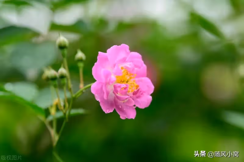 侄子結婚，我給了3萬禮金，媽媽卻說太少了，應該要把房子讓給他
