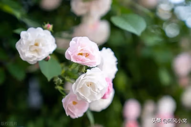 侄子結婚，我給了3萬禮金，媽媽卻說太少了，應該要把房子讓給他