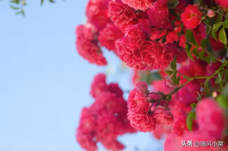 侄子結婚，我給了3萬禮金，媽媽卻說太少了，應該要把房子讓給他