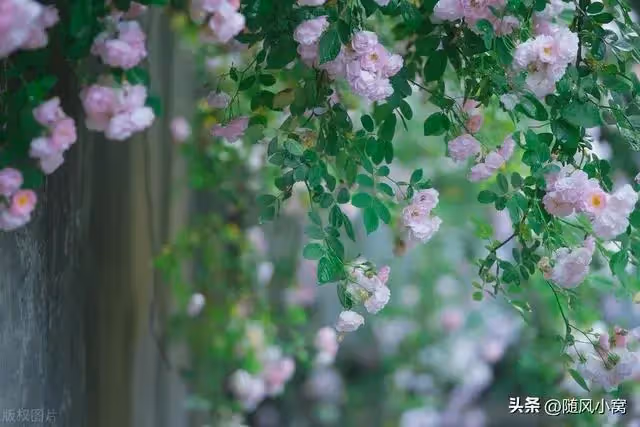 婆婆接大姑姐回家坐月子，我直接攔住門口，讓她支付2萬才能進門
