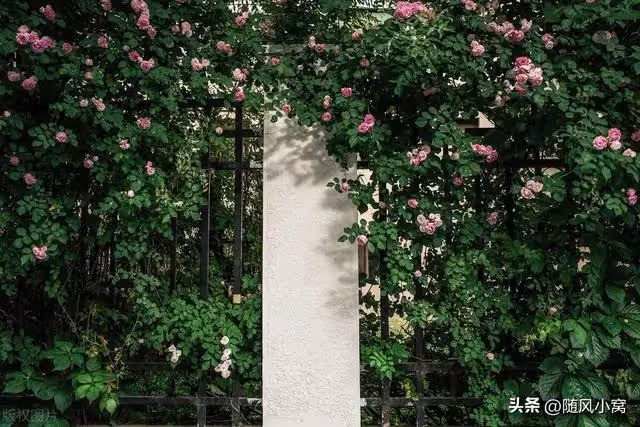 婆婆接大姑姐回家坐月子，我直接攔住門口，讓她支付2萬才能進門