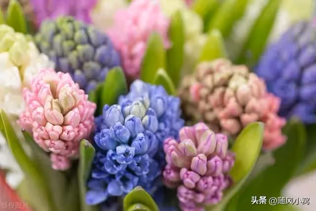 婆婆想來我家過年，我堅決不同意，除非她補上本應給老公的2萬元