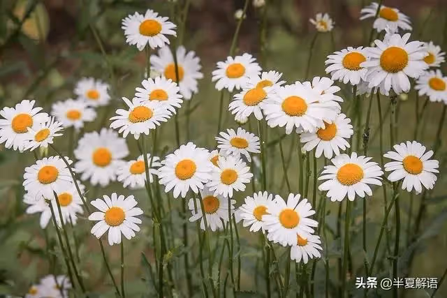 岳母把房過戶給兒子，摔跤給女兒開空頭支票：你照顧，拆遷款平分