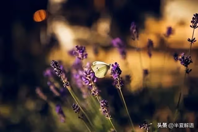 岳母把房過戶給兒子，摔跤給女兒開空頭支票：你照顧，拆遷款平分