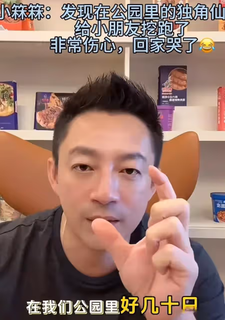 公園的獨角大仙全被小朋友挖走！霖霖跑回家哭！汪小菲帶兒子去買