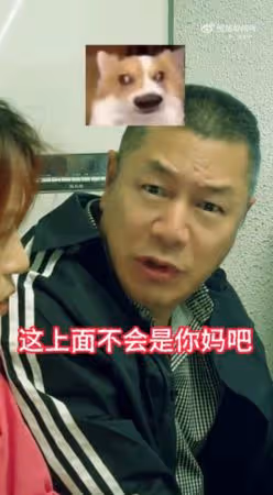 《玫瑰的故事》驚見媽媽身影! 全家尖叫「你怎能跟劉亦菲演戲」