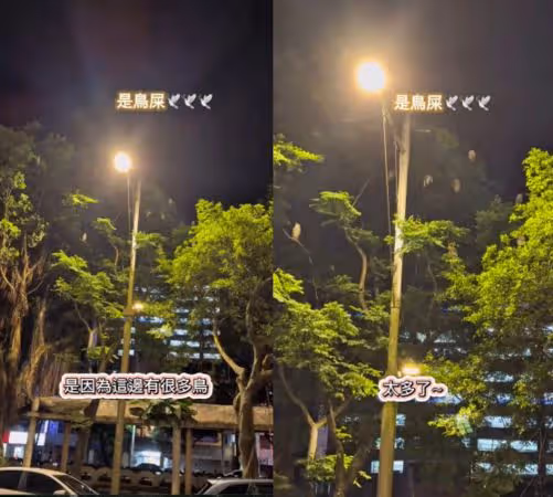 玉兔驚見愛車「遍布不明液體」以為被潑漆! 求助警察…一抬頭傻眼