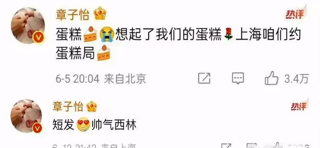 章子怡跟楊冪梅婷不講武德算啥 曾當劉嘉玲面脫衣服博關注才叫狠