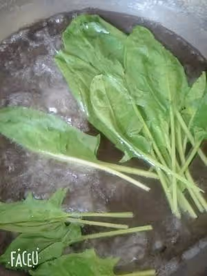 菠菜蝦仁餅(可當一歲寶寶輔食)