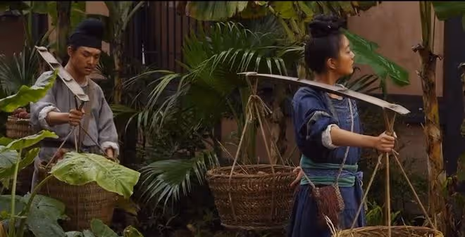 長安的荔枝大結局解析，前人栽樹，盛極必衰