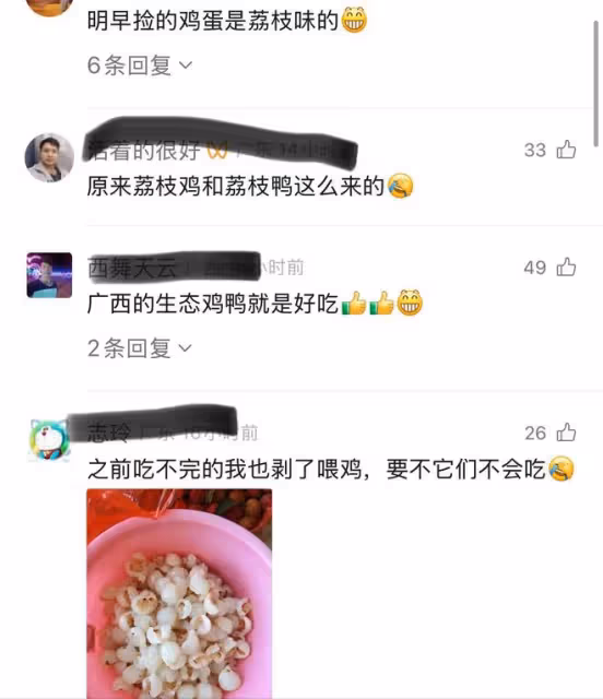 老人拿一筐荔枝喂雞鴨，還細心一顆顆剝開，網友：我來排鴨子後面