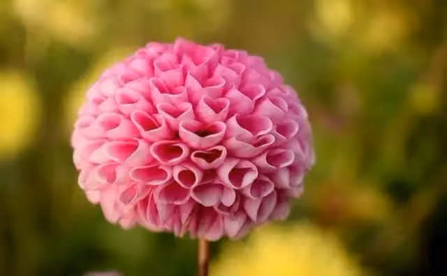 夫妻AA制10年！她罹癌「600萬存款全給娘家」丈夫衝進病房大罵 辦完身後事「他突收一封簡訊」崩潰了