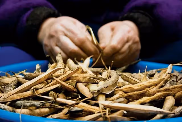 老人感悟：老人最好不要頻繁去兒子家，兒子家終究不是自己家
