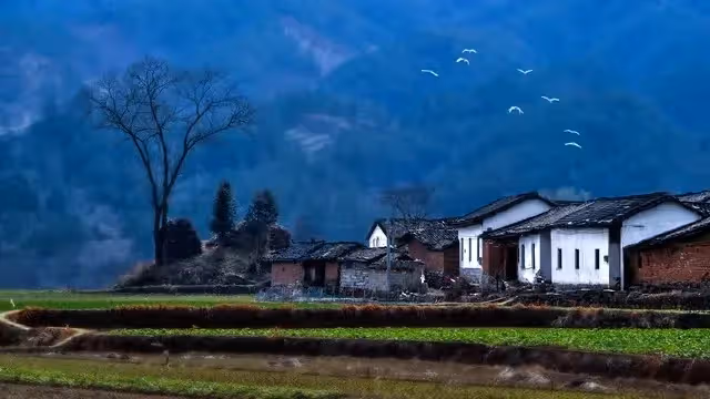 父母不在之後，我和妹妹兩人10多年沒有回娘家，那天大哥突然來電。