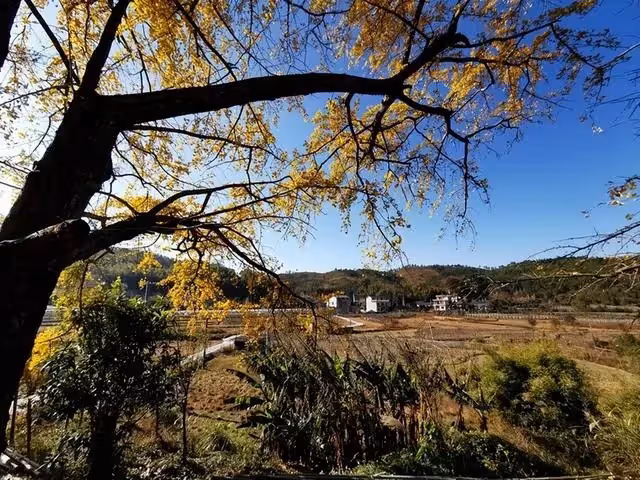 外婆葬禮結束後，52歲母親撕掉了外婆留下的遺書，和舅舅斷絕關係