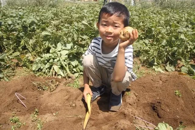 二胎隨母姓，公婆怒立遺囑：兩套房子留給大孫子，兒媳崩潰：不行。