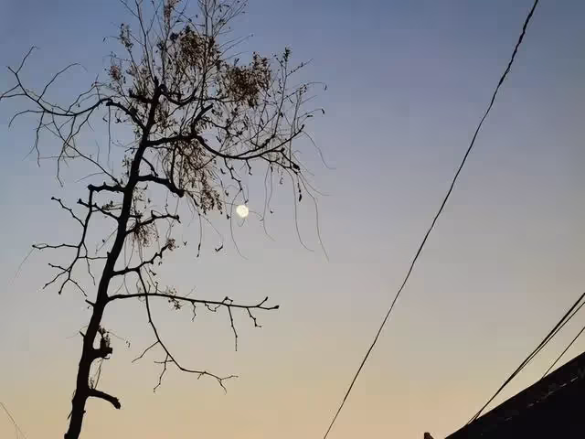 二胎隨母姓，公婆怒立遺囑：兩套房子留給大孫子，兒媳崩潰：不行。