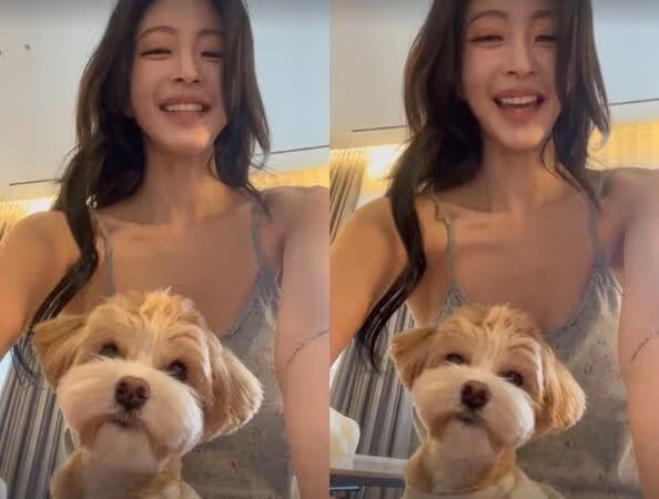 愛犬接回前一刻「遭職員失手摔斷腿」! 韓藝瑟心疼曝術後照