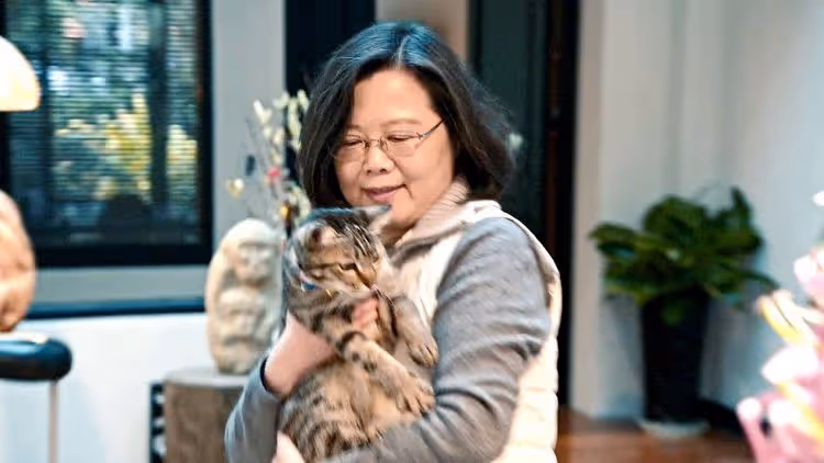《看不見的國家》掀觀影潮　上映7天票房破千萬
