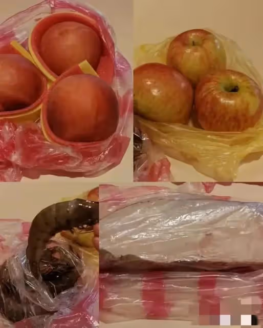 馬筱梅在M國?親自回應在回去看孩子的路上,來來回回挺辛苦