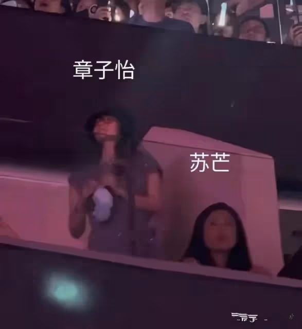 刪視頻 回老家 帶娃看演唱會，這次森林北章子怡聯手撕碎汪峰體面