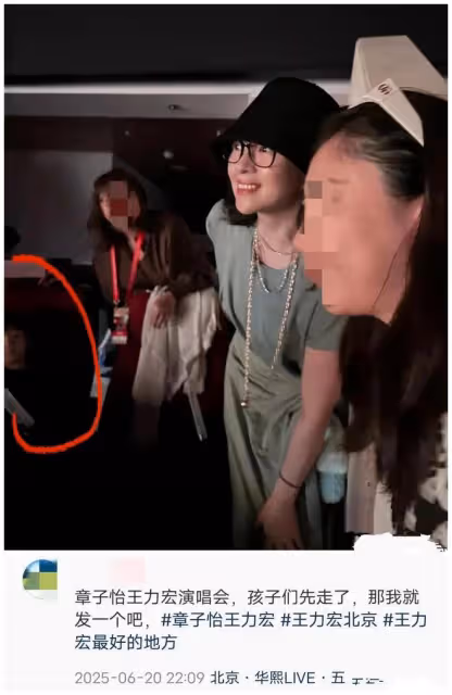 刪視頻 回老家 帶娃看演唱會，這次森林北章子怡聯手撕碎汪峰體面