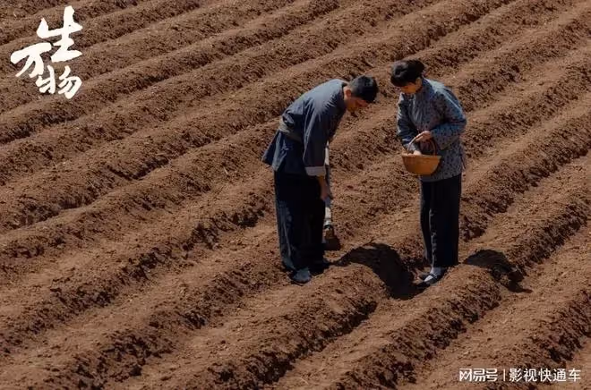 2025總台暑期大劇片單，多部大劇蓄勢待發，哪部是你期待已久的？