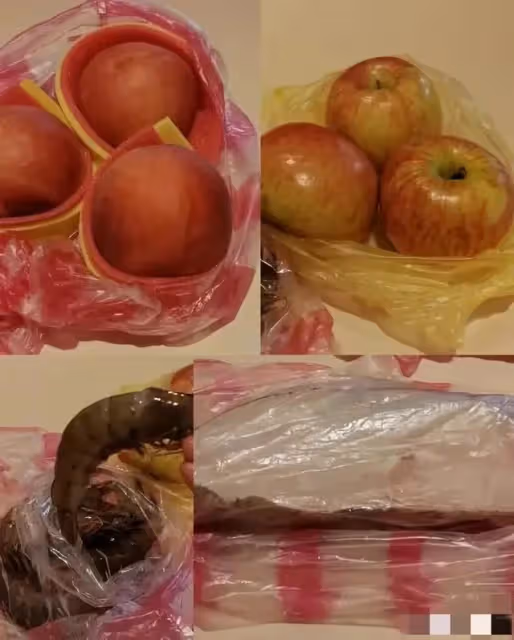 淚目了，小楊阿姨被黑粉懟，回應自己不做小孩更可憐，起碼跟她親