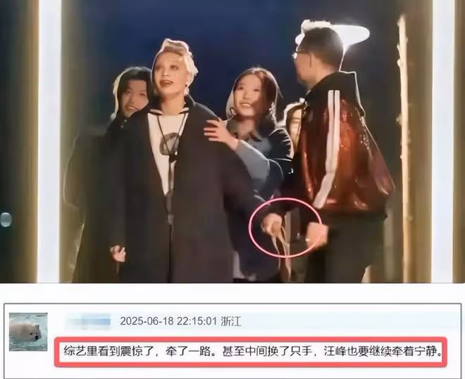 汪峰牽手寧靜後,章子怡發文:撕開真相!偷看偶像演唱會表明心情