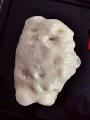 不需揉面的大孔蒜香佛卡夏
