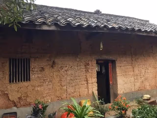 當年被大伯趕出祖屋我怨恨25年，如今回家過年，我給她送兩個雞腿