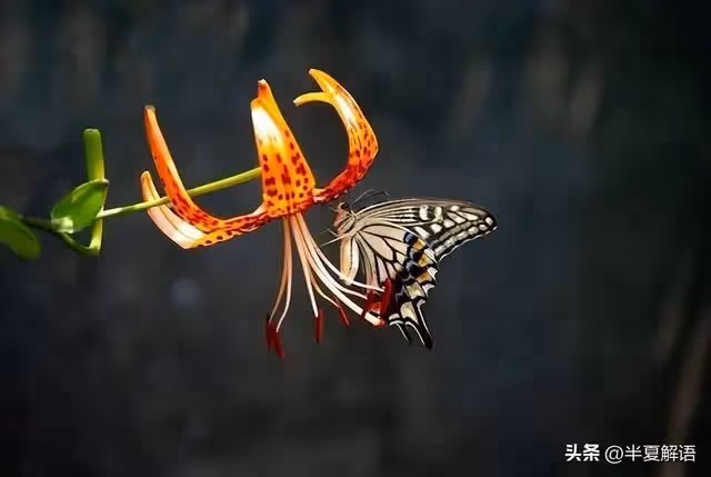 公公去世，老公繼母中風無處可去，看到老公欲言又止，我帶著人走