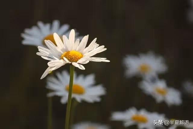 坐月子婆婆煮清水麵條，她住院我天天大魚大肉伺候，老公卻不樂意