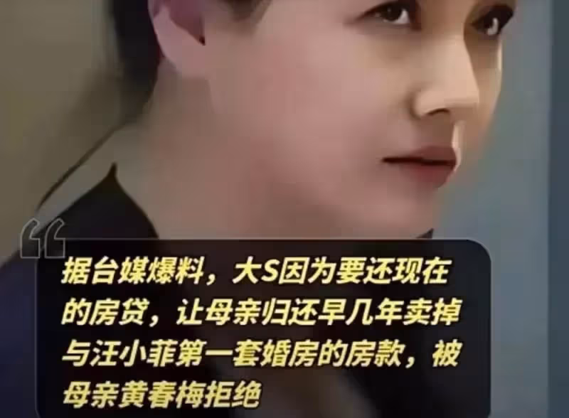 到底發生了啥？體面的S媽開始點名開撕汪小菲，小楊阿姨解開謎底