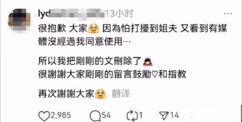 小S曬視頻宣傳二女兒Lily畫展,大S粉絲飛機上偶遇具俊曄