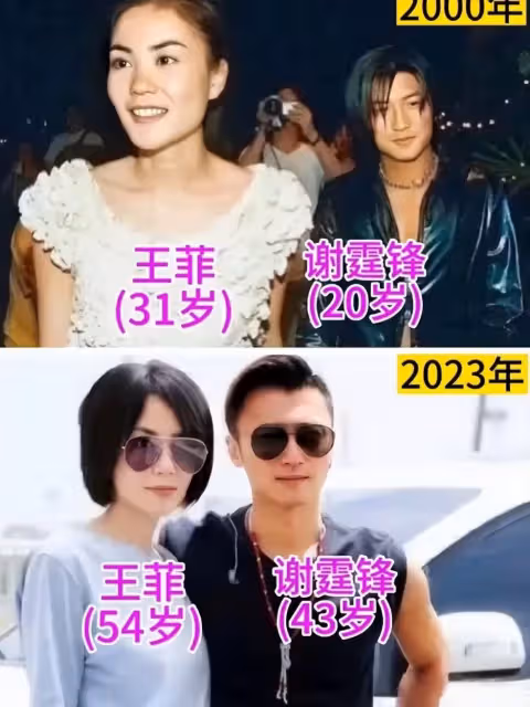 眼神騙不了人,謝霆鋒對張柏芝的態度,恰恰展現出了王菲的高明