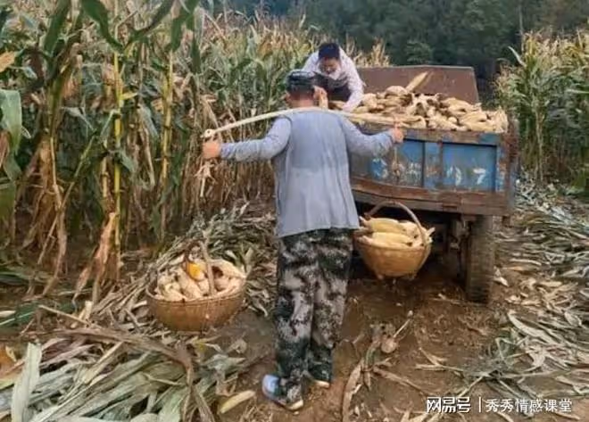 每次回鄉下老家，老公都去玉米地幫忙干農活，那天我偷偷跟去蒙了