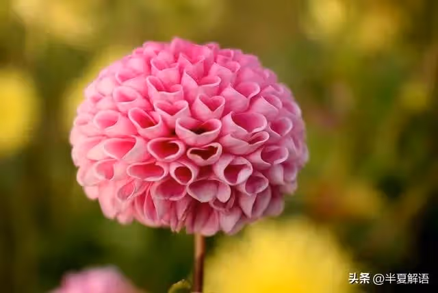 母親兩套房全給小兒子，母親要求養老大兒子痛哭：你沒資格進我家