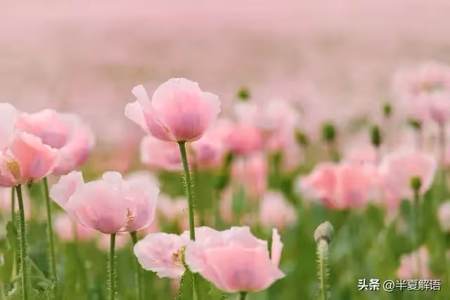婆婆退休金6000，我換房她分文不掏，我媽住院差10萬，婆婆拿出卡