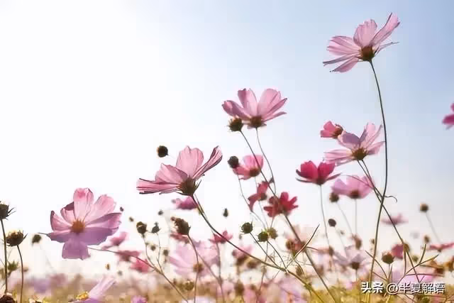 婆婆退休金6000，我換房她分文不掏，我媽住院差10萬，婆婆拿出卡