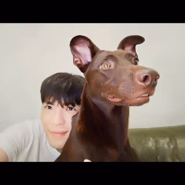 好心疼｜蕭敬騰愛犬離世　老婆生日前慟失「家人」崩潰放聲大哭