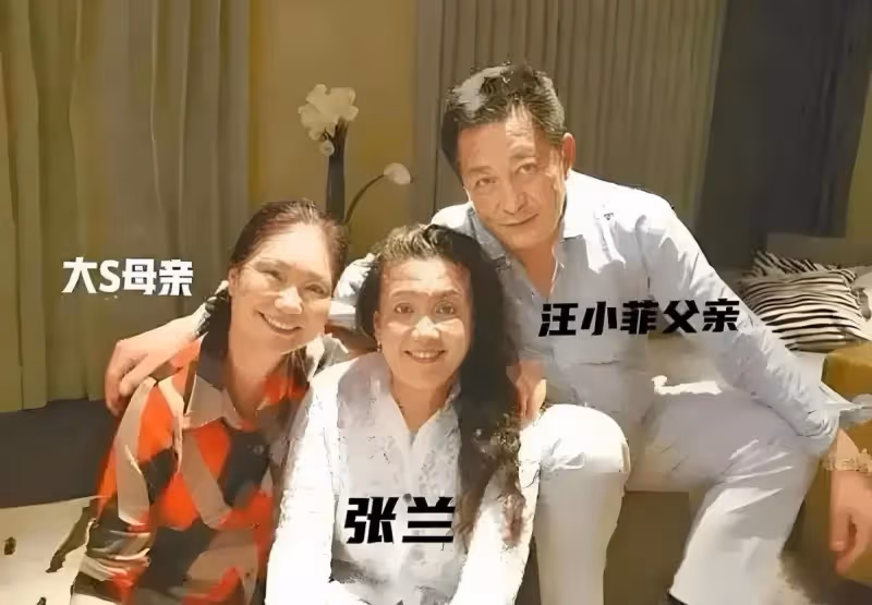 汪小菲和大S的兩個孩子長大後會怪小S、S媽還是怪汪小菲