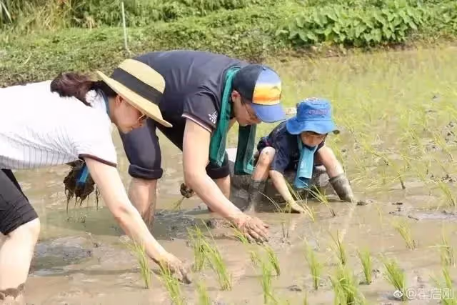 同樣是霍家女人，看到霍啟仁妻子被冠夫姓，才明白霍啟剛的深情