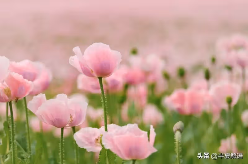 弟媳住我陪嫁房3年，我賣掉房子，弟媳：你房子賣了，我們住哪？