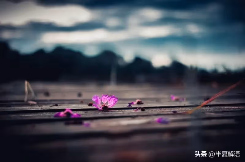 表姐離婚兩次，帶孩子來玩，吃飯後我趕人：再留下去，我家也要散