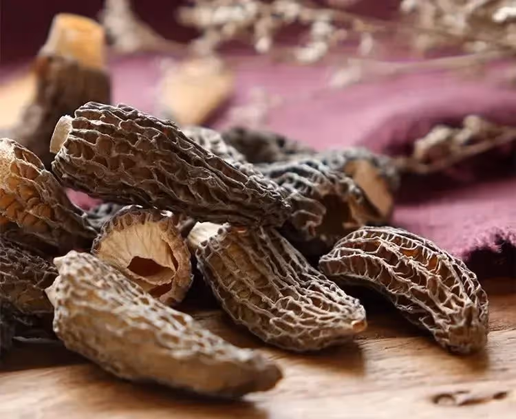 「菌中之王」羊肚菌，教你15道神仙素食吃法！
