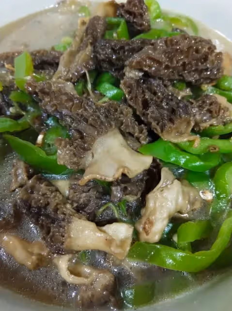 「菌中之王」羊肚菌，教你15道神仙素食吃法！