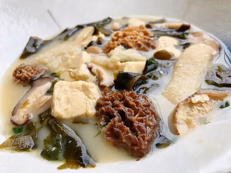 「菌中之王」羊肚菌，教你15道神仙素食吃法！