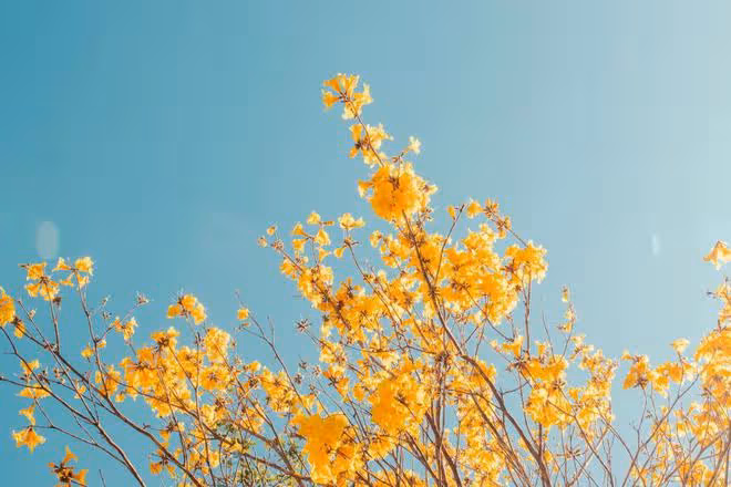 鬧心！老公和我商量，想把雙相情感障礙的侄子接過來一起住幾年
